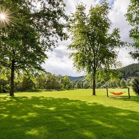 Ferienwohnung Kurparkblicksauerland Lennestadt Exterior photo